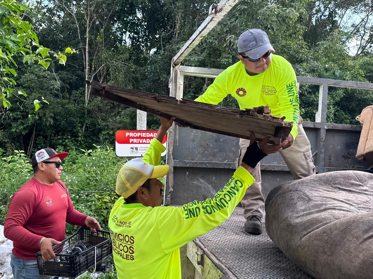 uploads/6/32/01 (2593).Jpeg